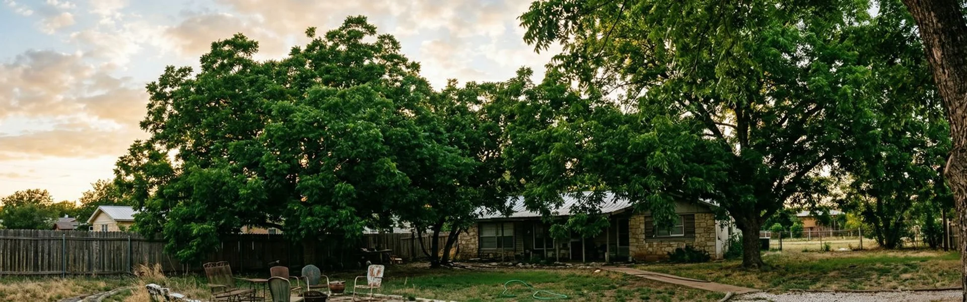 Deep Root Fertilization for West Texas Trees