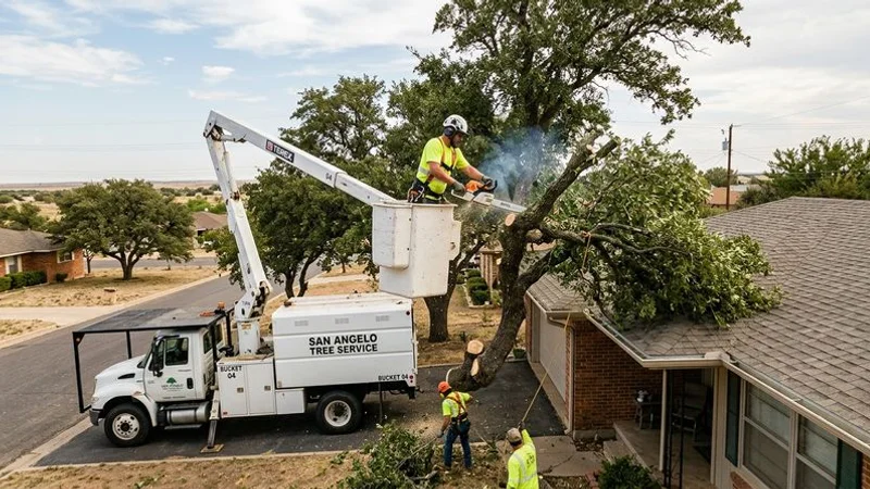 Pre-storm tree pruning in San Angelo